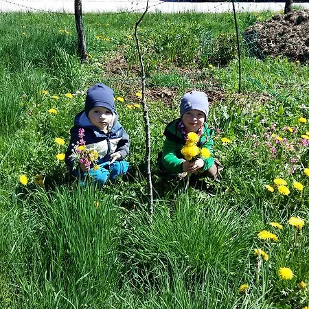 Vila Weinbachbauer - Urlaub Am Bauernhof Saint Wolfgang Exteriér fotografie