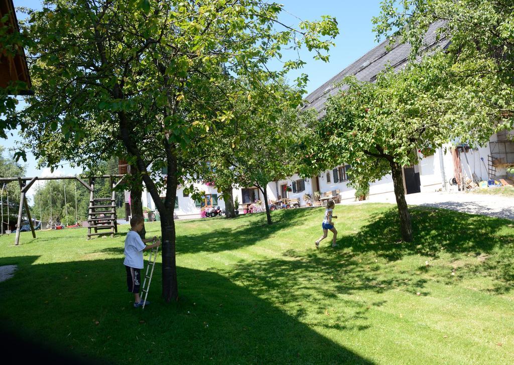 Farm stay Weinbachbauer - Urlaub Am Bauernhof *