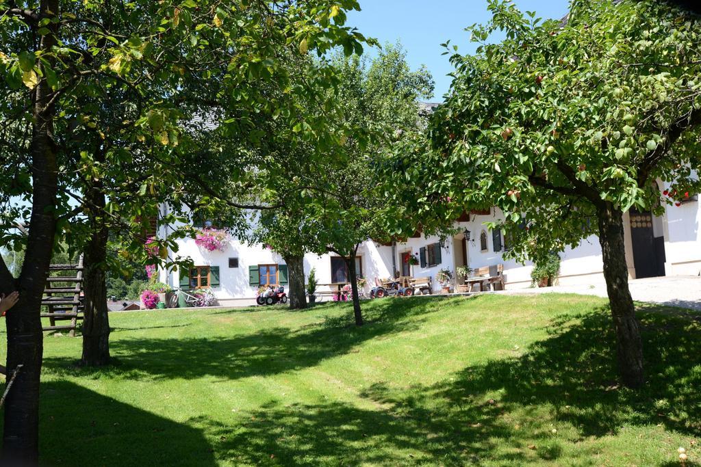 Farm stay Weinbachbauer - Urlaub Am Bauernhof