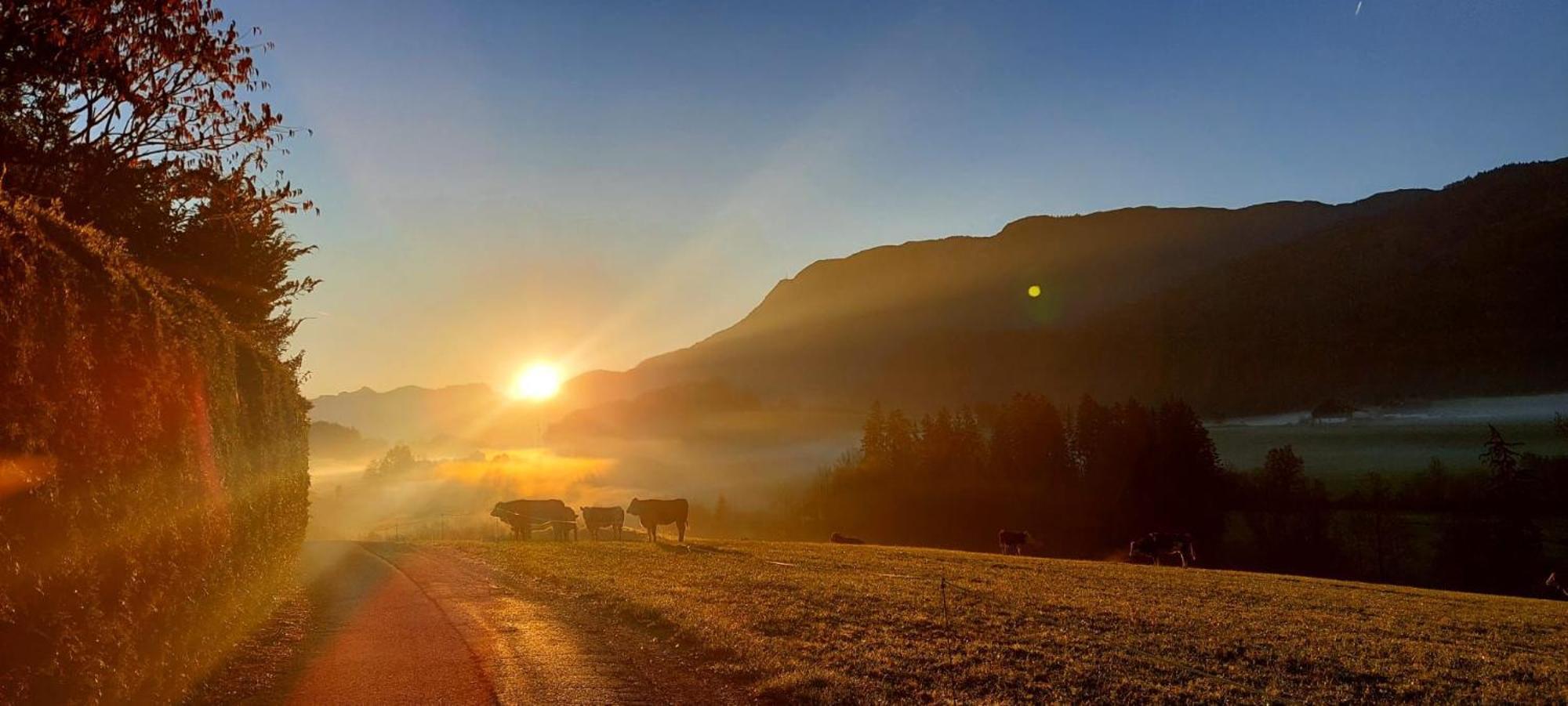 Weinbachbauer - Urlaub Am Bauernhof * Sankt Wolfgang im Salzkammergut