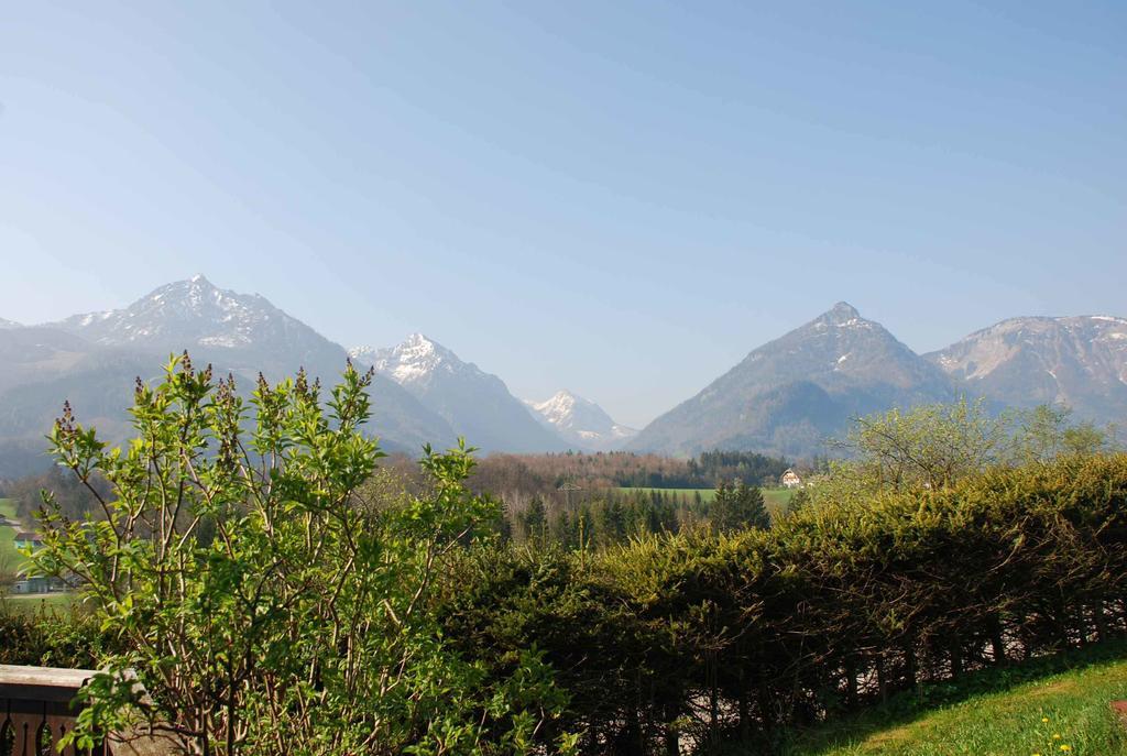 Weinbachbauer - Urlaub Am Bauernhof Farm stay