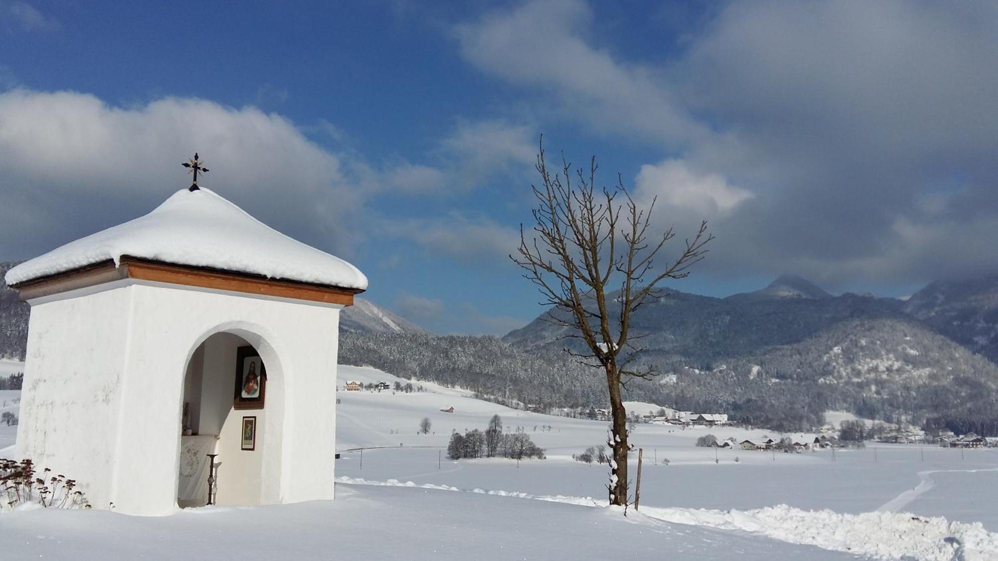 Weinbachbauer - Urlaub Am Bauernhof * Sankt Wolfgang im Salzkammergut