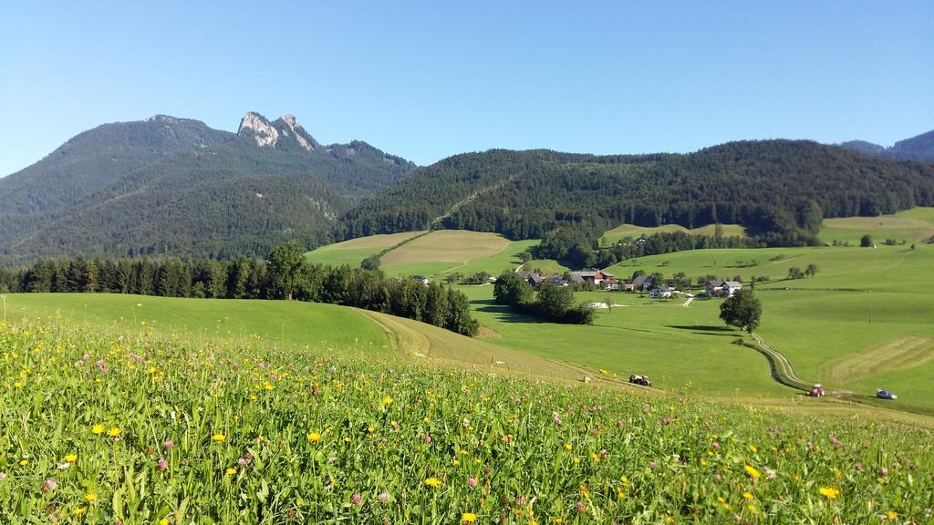 Farm stay Weinbachbauer - Urlaub Am Bauernhof *